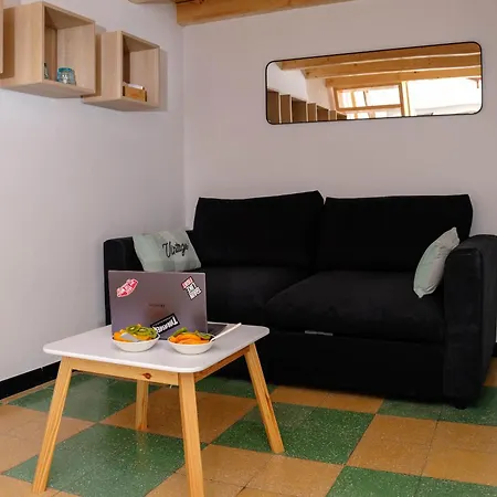 Проживание в семье Velas *